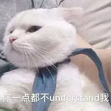 huh猫表情包动图开学