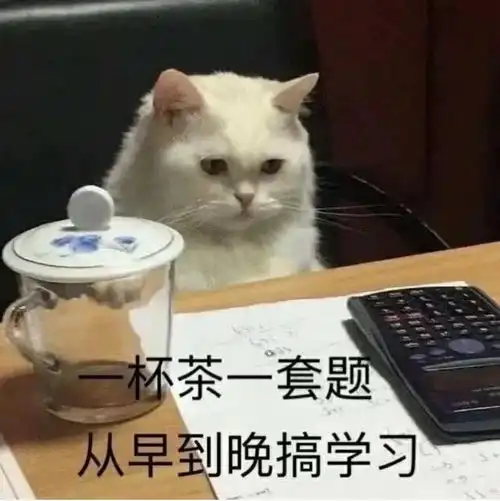 huh猫表情包动图骂骂咧