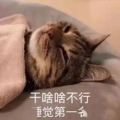  大风暴雨冷空气齐发货,郑州气温迎来大跳水