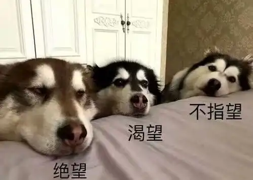  备考专八