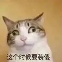  返程务工堵在路上的小猫变身侦察兵网友原来每只小猫都有黑猫警长的血脉