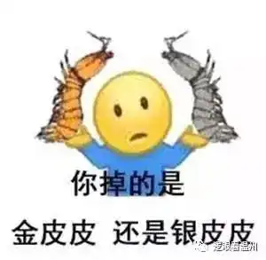 哎等等别走表情包配音派