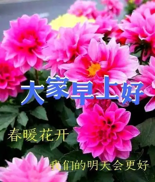  早安正能量问候语图片表情带字,早安清晨短信问候祝福语