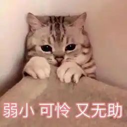  在无锡,3万元竟然都撑不起孩子一个暑假妈妈的吐槽文刷爆了朋友圈