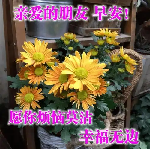 与其埋怨,不如改变,调整心态,积极向前,早上好温馨句子图片大全