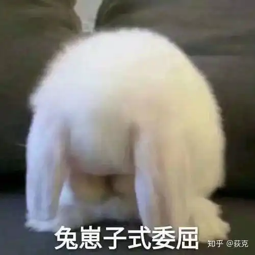  蜜雪冰城奶茶店有什么黑幕吗