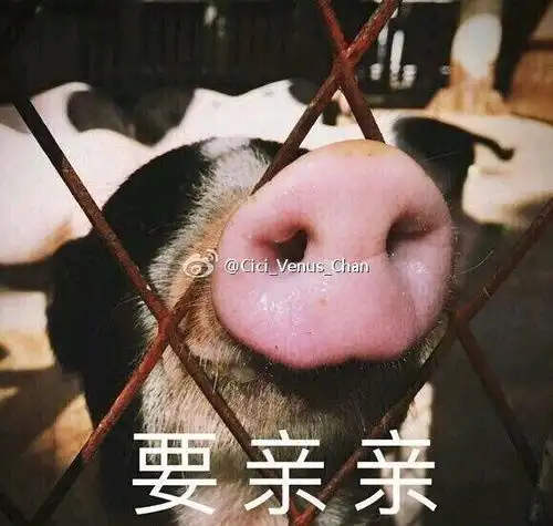  我的收藏
