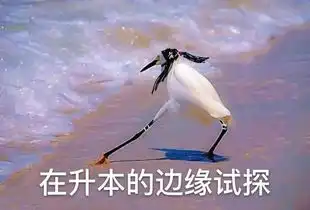  怎样一个月通过成人考试