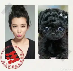  李冰冰模仿狗狗表情翻白眼吐舌头神还原组图