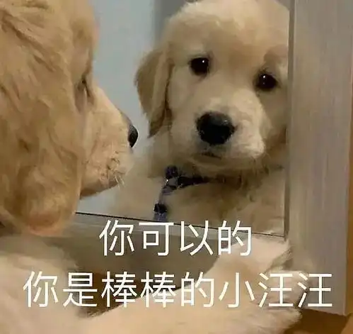 勇敢狗狗不怕困难表情包