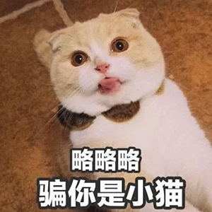  今日份沙雕表情包给你面子,你适度可以吗