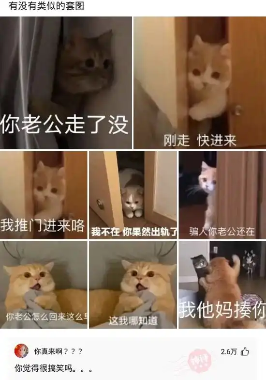  神回复爱情真的和穷没有关系吗