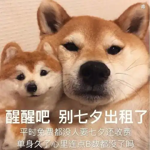  单身狗七夕表情包合集