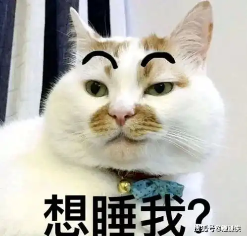  可爱表情包图片想和我一起睡开心