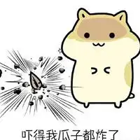  小松鼠表情包原图