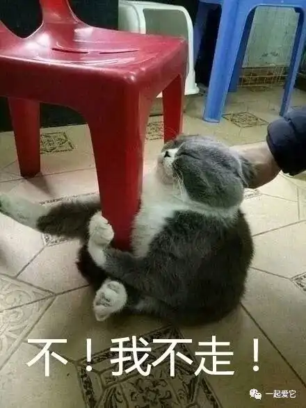 宠趣抱住了就是不会撒手的
