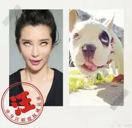 斗鸡眼吐舌头表情包狗狗
