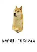 单身狗