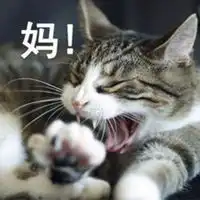  想妈妈表情包微信头像图片大全