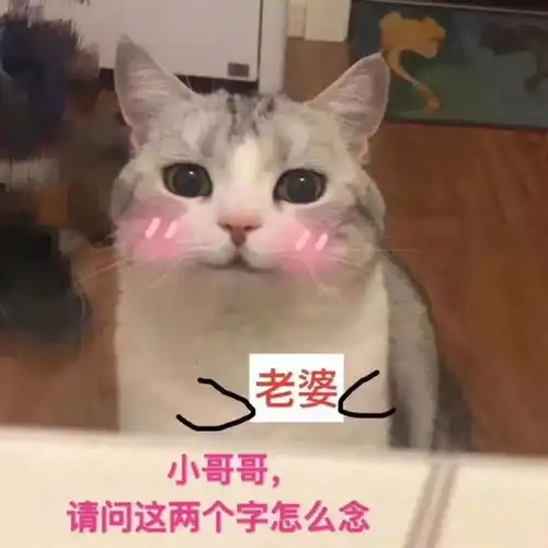 萌表情包画画教程表情包