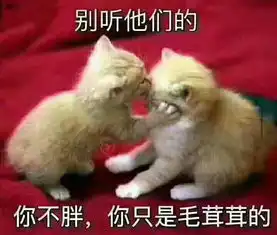  荣威rx5社区易车