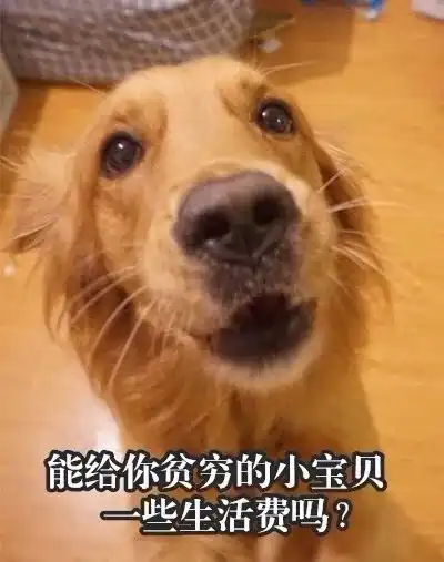  双十一到了,有网友给大家做了组困难群众表情包