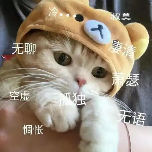  假期太无聊来一场线上聚会吧