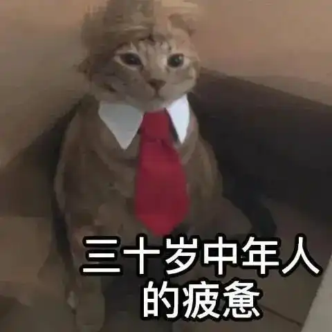  可爱沙雕表情包我出5块钱悬赏,请帮我找到我的爱情