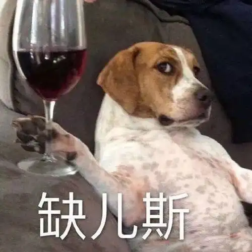  不贵又好用5月超超超值得买的宝藏好物,你一定要入手