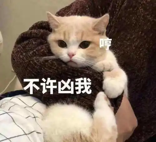  为什么猫咪喜欢咬你一口后再舔一下你,打个巴掌再给个甜枣吃
