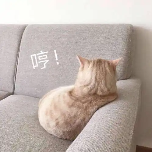  不懂就问b站up主不接广告怎么挣钱呀