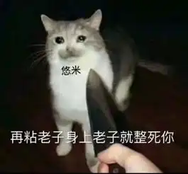 猫爪牵手表情包全套窒息时刻