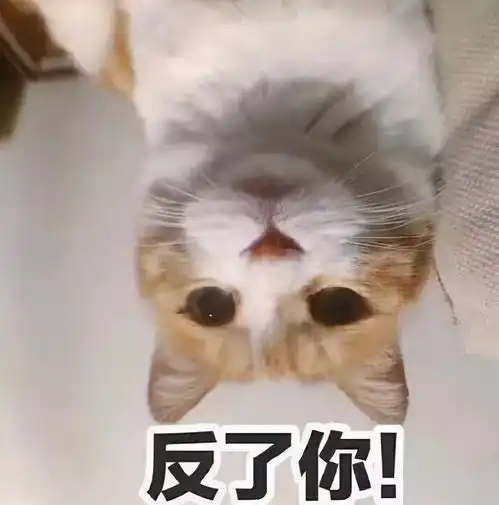  游戏是精神鸦片,禁止了游戏,学生就去读书了我看未必