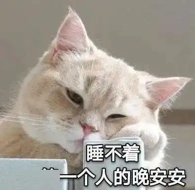  聊天日常表情包人家不要奶茶,要啵啵