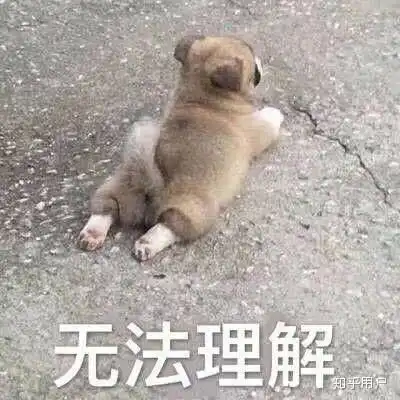  你最讨厌什么梗