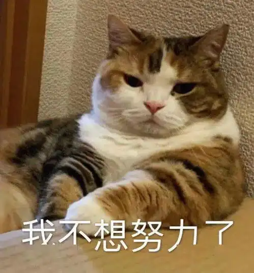  别拍我了