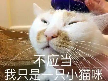 洗澡了表情包楼楼