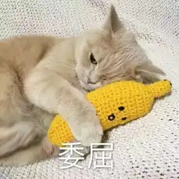  艺术学生别问我学的啥,问了就是心酸