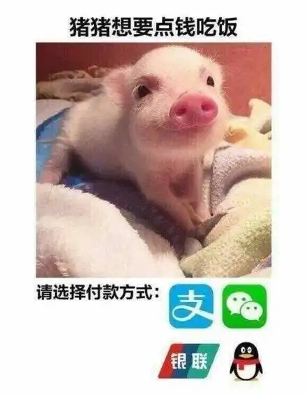 表情包您的小可爱想要一点零花钱