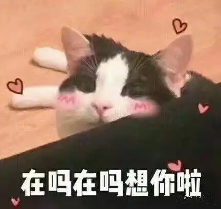  你家臭宝无法拒绝的憨憨表情包