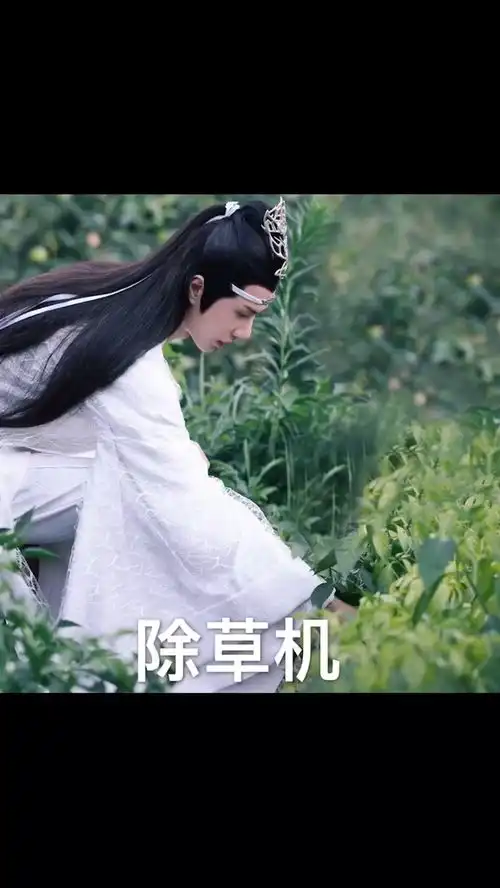  陈情令表情包最近很流行魏无羡磕到昏厥ok,蓝湛这是啥