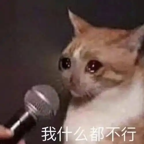  实习生摸鱼哲学微习惯成就高效摸鱼大师