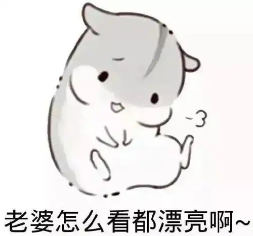  哄老婆表情包老婆大人对不起好喜欢老婆我老婆超级可爱