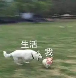  人生第一次,怎么穿不后悔