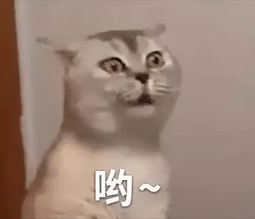 猫屎的表情包菀菀