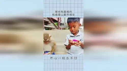  猴也有面相的,这只眼光温柔表情和善,和峨眉山截然相反