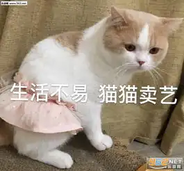  南上加南你不是东西麻将表情包白白胖胖充满希望图片表情包下载乐游网游戏下载