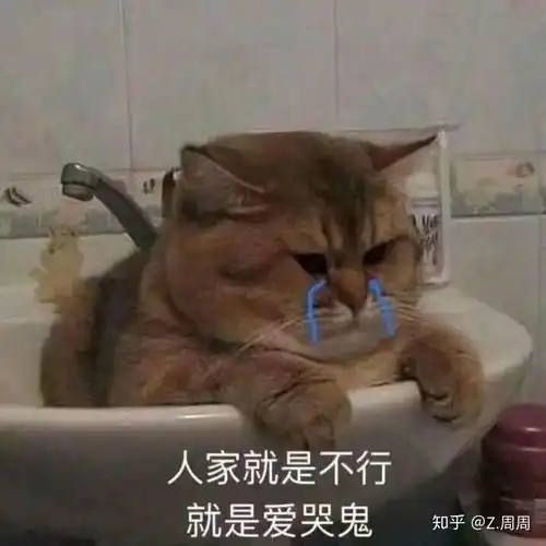  小米10至尊版有什么缺点吗