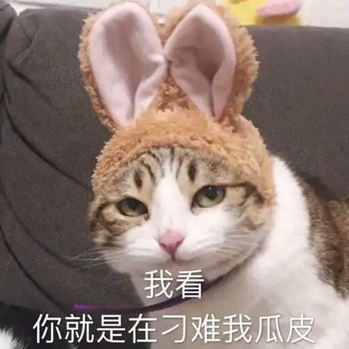  我就说下你们真的有看规则吗