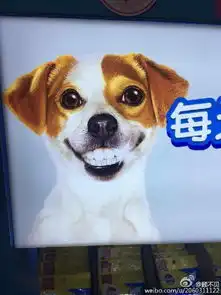  有一张表情有个狗笑的特别好玩露出的人牙谁能发我个图我做头像,就像